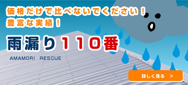 価格だけで比べないでください！豊富な実績！雨漏り110番